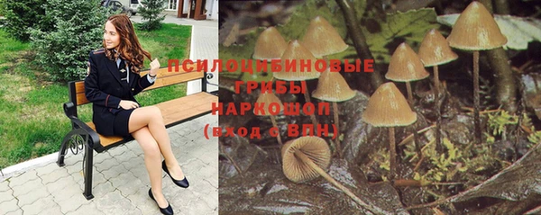 СК Арсеньев